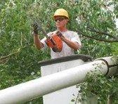 Clinton Tree Service