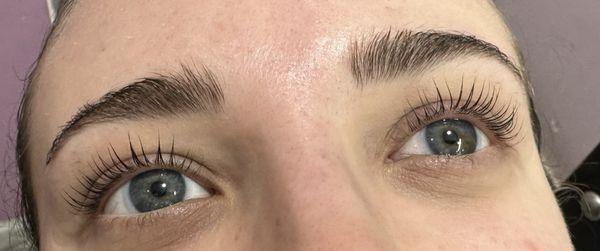 Lash lift/tint results