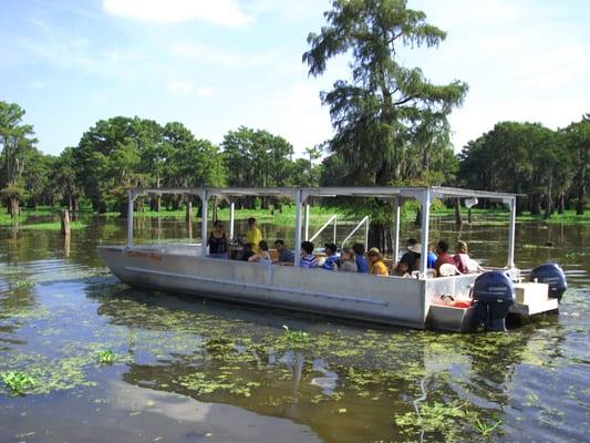 McGee's Landing Swamp Tour