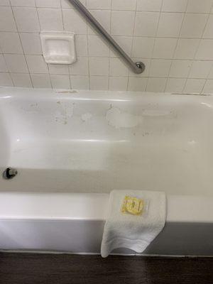 Bathtub, just gross