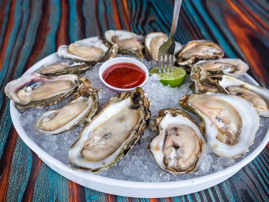 Fresh shucked oysters