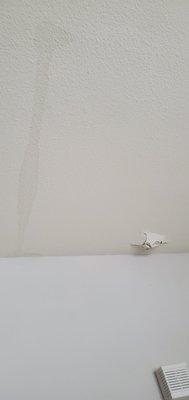 Hole in ceiling and water damage