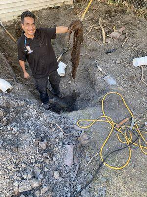 Omar Pulling Out Tree Roots