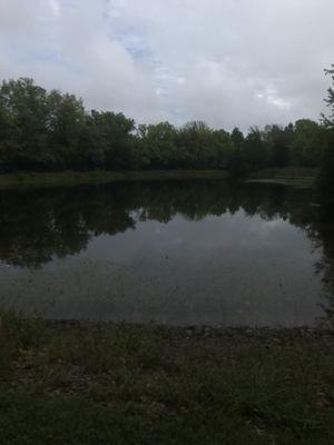 Looks like it was once a very nice RV Park. A bit on decline now.  It looks like no one is taking care of it.