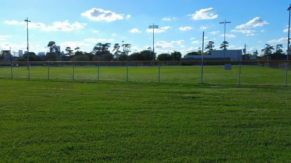 Nicely manicured grassy field with Houston skyline in the background.