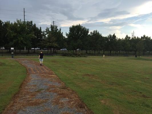 A rainy day at the dog park