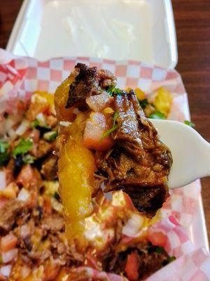 Brisket Fries with fresh cilantro, tomatoes and shredded cheese.