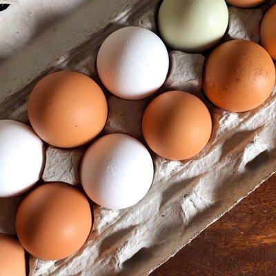 Farm fresh eggs from our pasture raised chickens (non GMO- non soy)