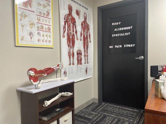 The Museum Of Muscle in the reception area.  Gary can show through visual aides why you are having aches and pains and how he treats it.