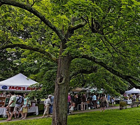 Lippitt Memorial Park