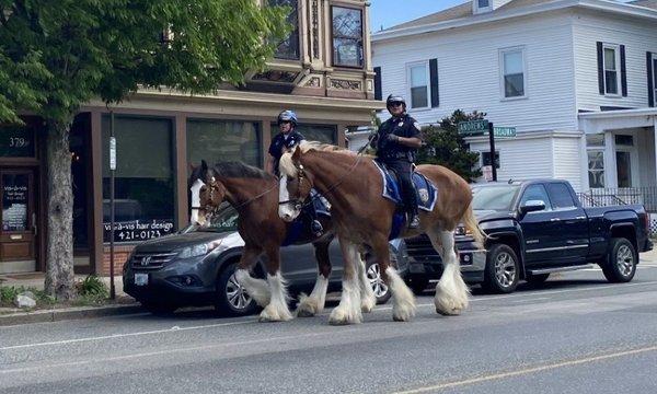 Providence Police Mounted Command