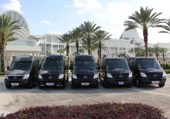 Fleet of Luxury Vans