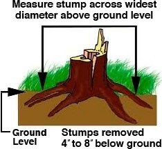 Gene's Stump Grinding Service, LLC