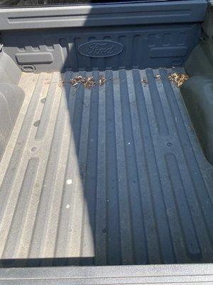 My "too dirty" truck bed.