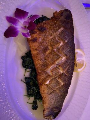 Branzino Secondi with garlic spinach. Awesome!!!