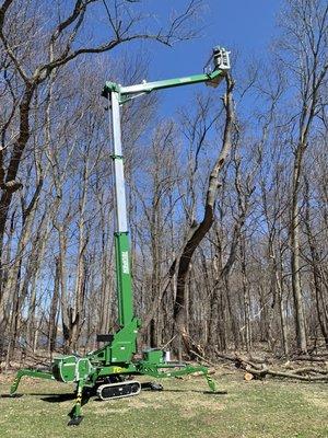 Track lift that fits thru a 36" gate. Safer than climbing, especially if the tree has rot or is dead.