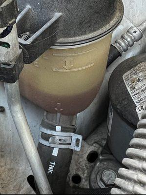 Transmission fluid