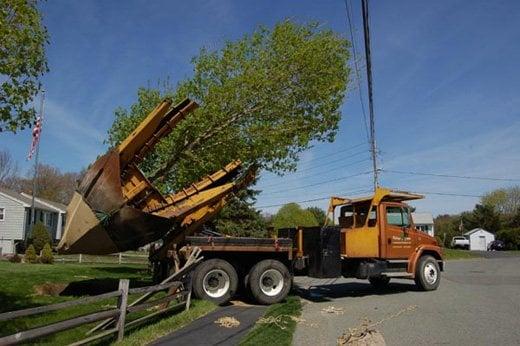 Village Green Landscape Contractors