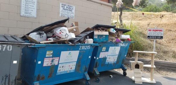 Overflowing garbage and dumping at Hillside Garden