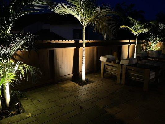 Mood lighting, king Palms