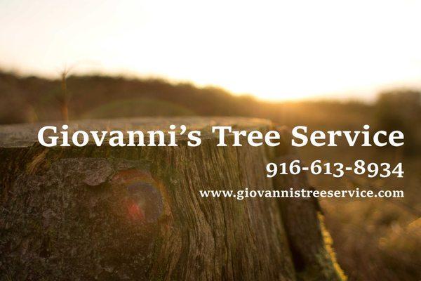 Giovanni's Tree Service