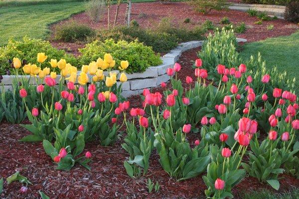 Country Nursery