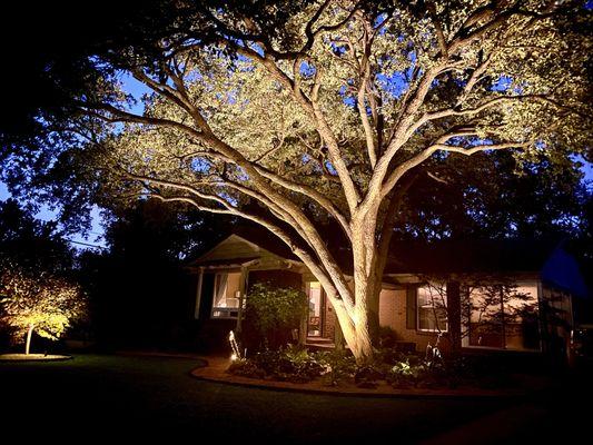 Bring calm that soothes your senses and uplift your soul by considering outdoor lighting.