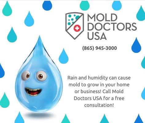 Water damage and high humidity can cause mold growth!