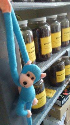 The Blue Monkey, hanging out in the shop . . .