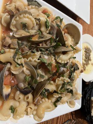 Clams posillipo with homemade pasta