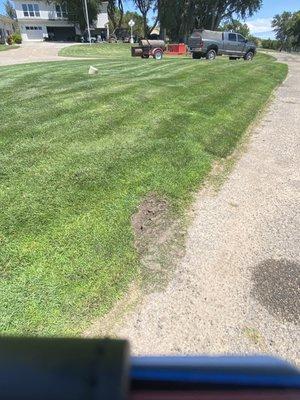 Ruts dug by skid steer where guests would've walked.