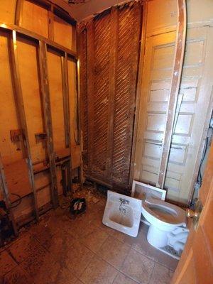 Bathroom demolition