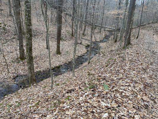 Friends of Steele Creek Nature Center and Park