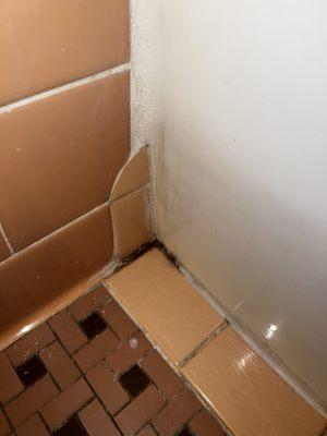 This is a dirty corner that is black , whoever cleans just mops where it will fit .