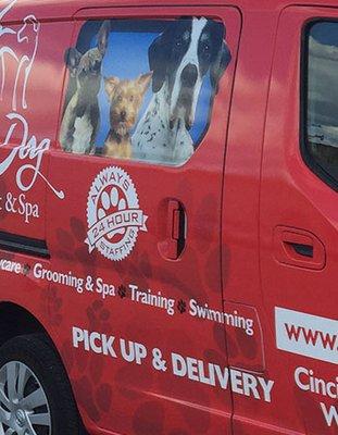 Close up of Vehicle Wrap for Red Dog Pet Resort