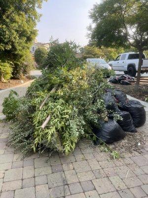 Yard waste removal