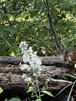 Deep Portage Conservation Reserve