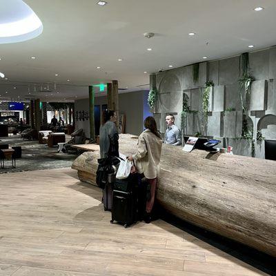 A giant tree trunk for the front desk. How could this property be anything but amazing.