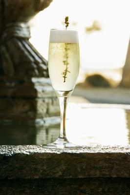 Elderflower Fizz