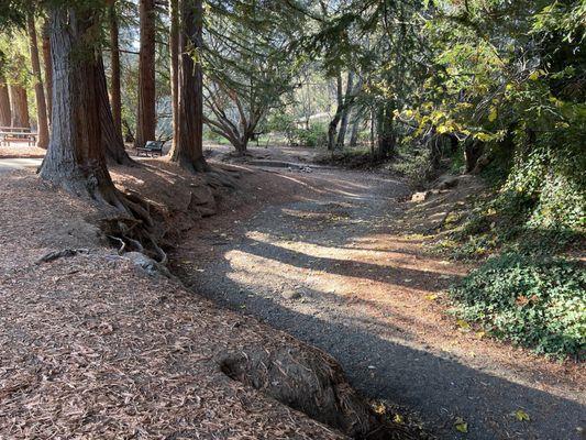 The creek when dry