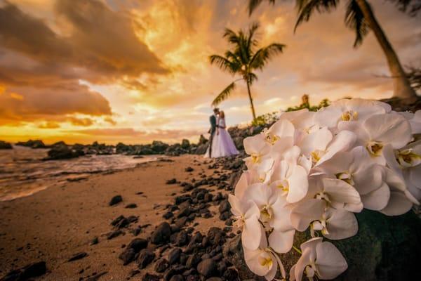 Maui Wedding at Sugarman's Estate