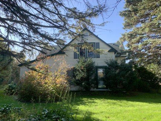 There were four trees on the northwest side of the home that were overgrown. Trimming them back would not have been a viable option.