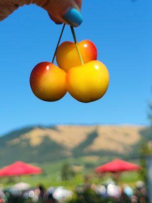 Cherry picking time