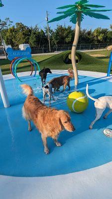 Fun at the NaJu Lagoon Splash Pad!