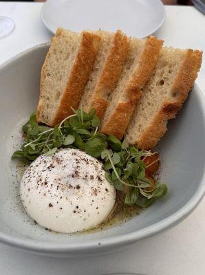 Burrata and bread