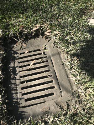 2" of concrete wash on my drain cover--2" down all pipes too. Now I have to re-do the skimmer AND dig up the yard drains and clean them