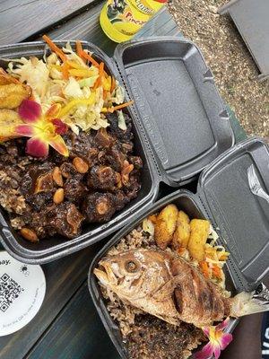 Oxtails, rice and peas, cabbage and plantains.  Fish, rice and peas, cabbage and plantains