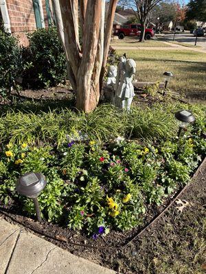 The flowerbeds were full of leaves and dead growth and they took care of them and my flowers can now be enjoyed!!