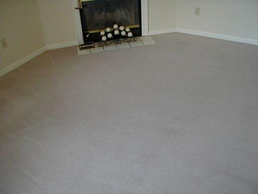 We clean carpet better in Austin