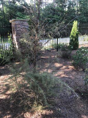 Southern Quality Landscape LLC